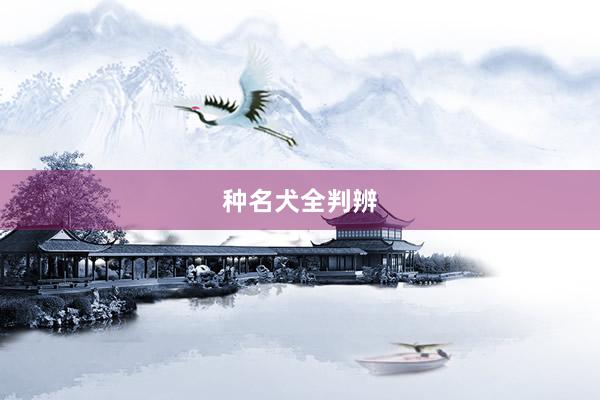 种名犬全判辨